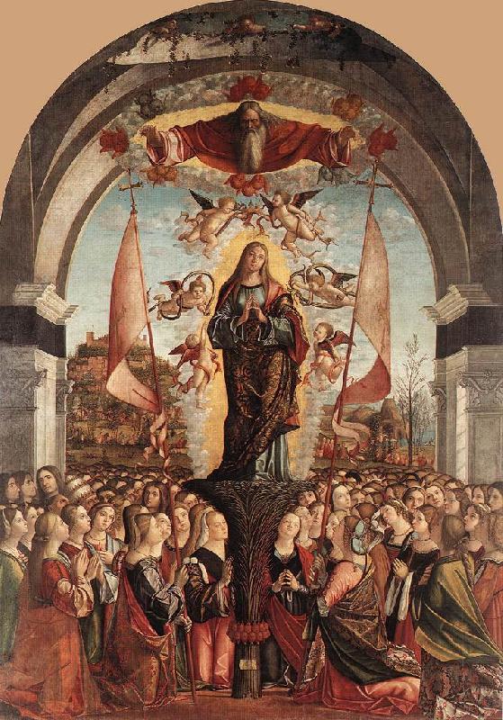 CARPACCIO, Vittore Apotheosis of St Ursula dfg Spain oil painting art